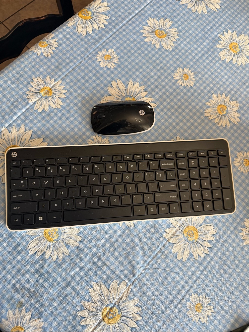 EUC~Wireless HP Keyboard & Wireless HP Mouse